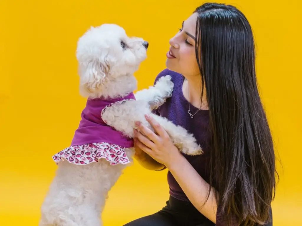 Woman holding and cuddling a small white dog