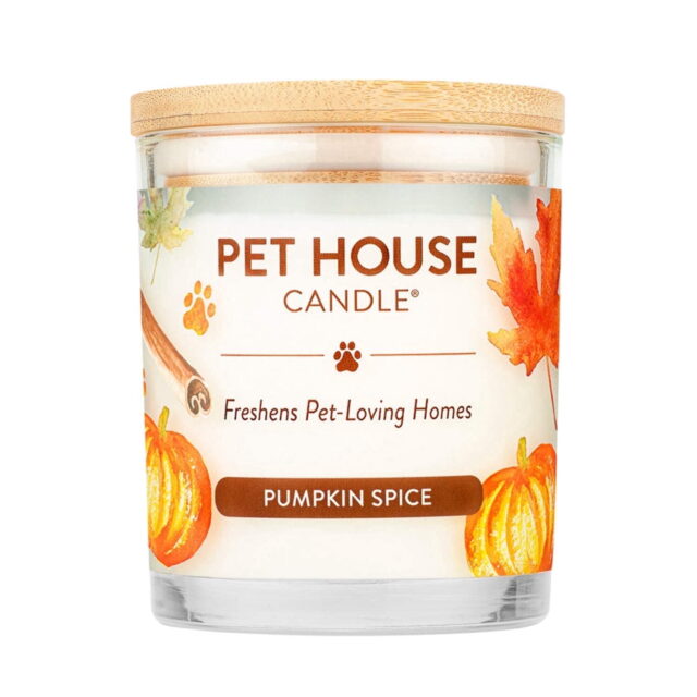One Fur All Pet House Candle Pumpkin Spice Pet Odor Eliminator – 9 oz