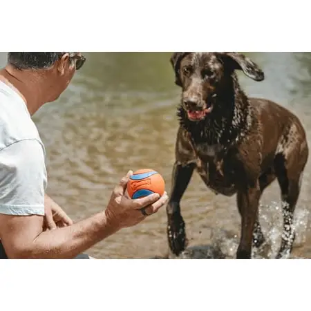 Chuckit! Ultra Ball – Extra Large (3.5″), for Dogs 100+ lb