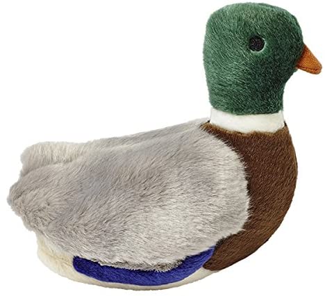 Fluff and Tuff Morley the Mallard