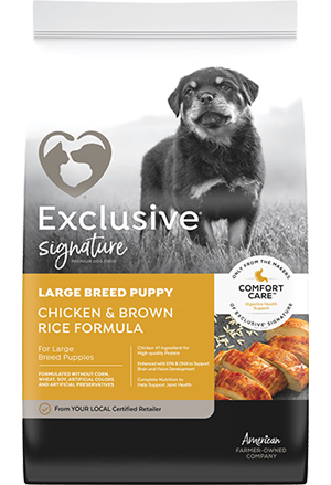 Exclusive Signature Large Breed Puppy Chicken & Brown Rice Formula Dry Dog Food