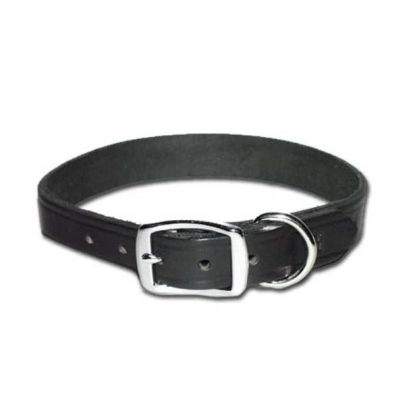 OmniPet Latigo BUR Collar 23"