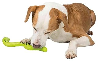 TRIXIE Snack Snake for Dogs, Rubber Toy Snake, Treat Dispenser, 16.5 (42cm) “