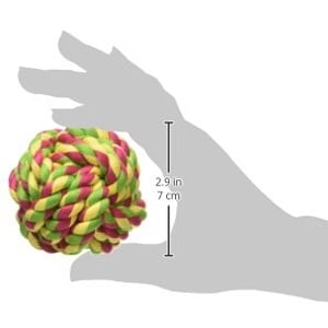 Dog Chew Toy