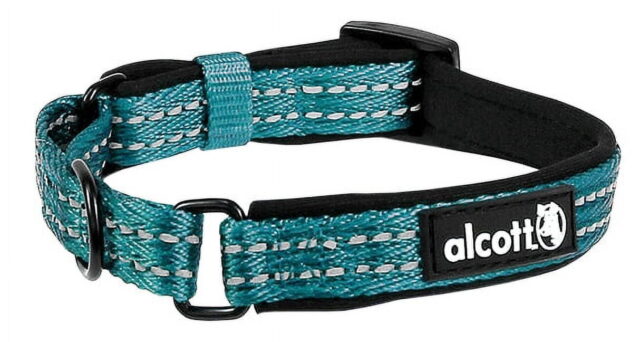 Alcott Adventure Martingale Collar with Reflective Stitching & Neoprene Padding
