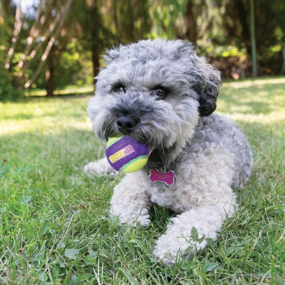 KONG Crunch Air Balls Dog Toy Purple 3 balls