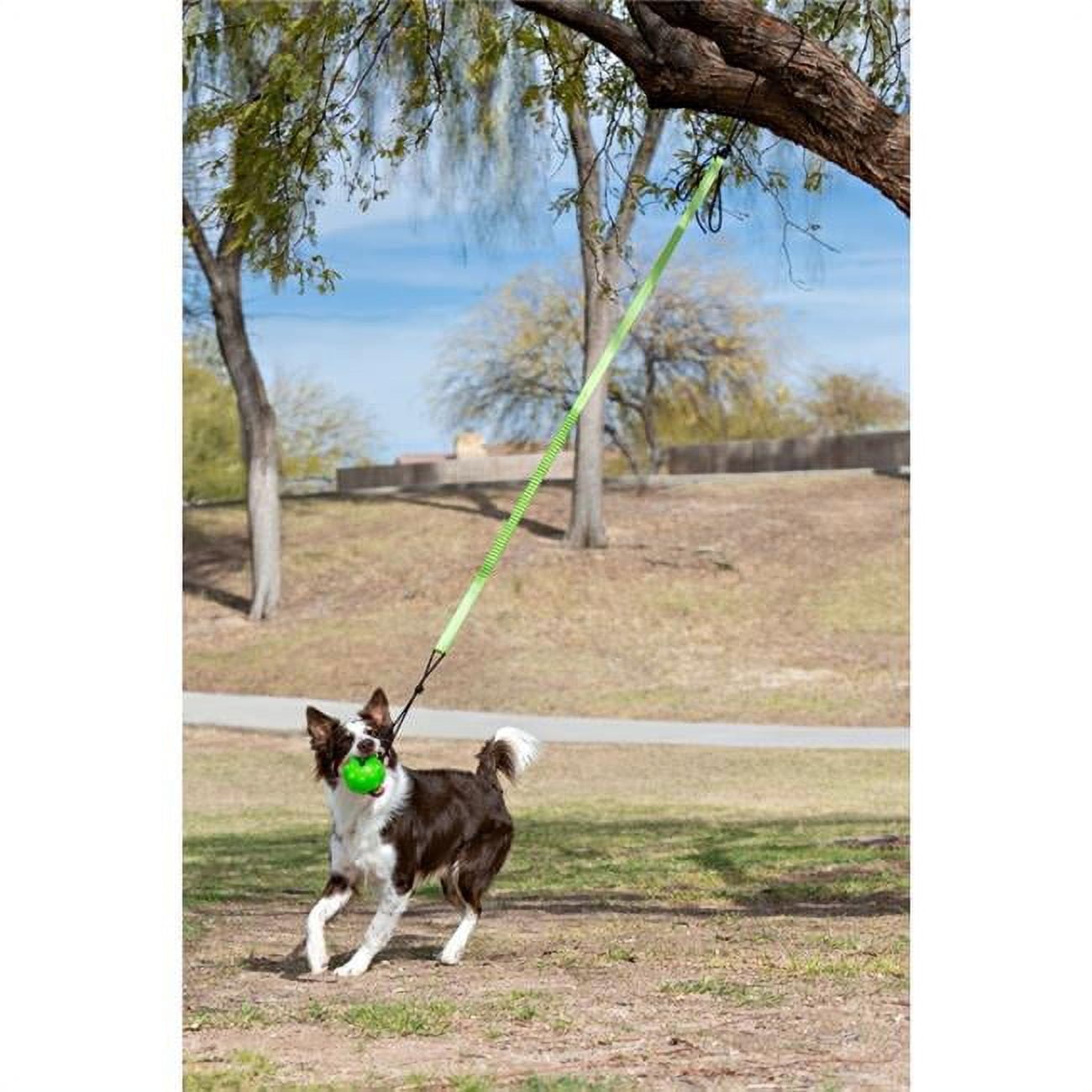 Jolly Pets JP071 Jolly Pets Tree Tugger Bungee Green – Large