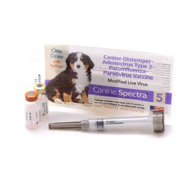 5 Way Dog Shot w/ Syringe