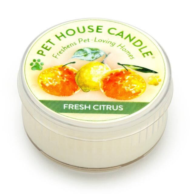 Mini Fresh Citrus Freshener Candle – Case of 12