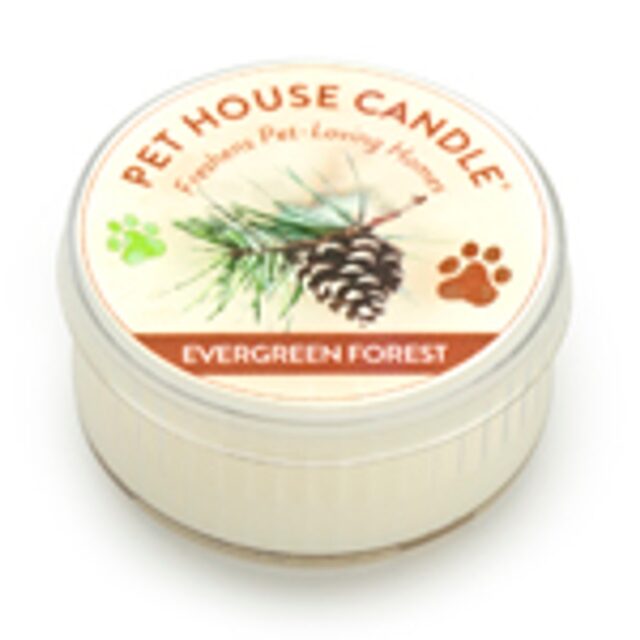 Mini Evergreen Forest Candle – Case of 12