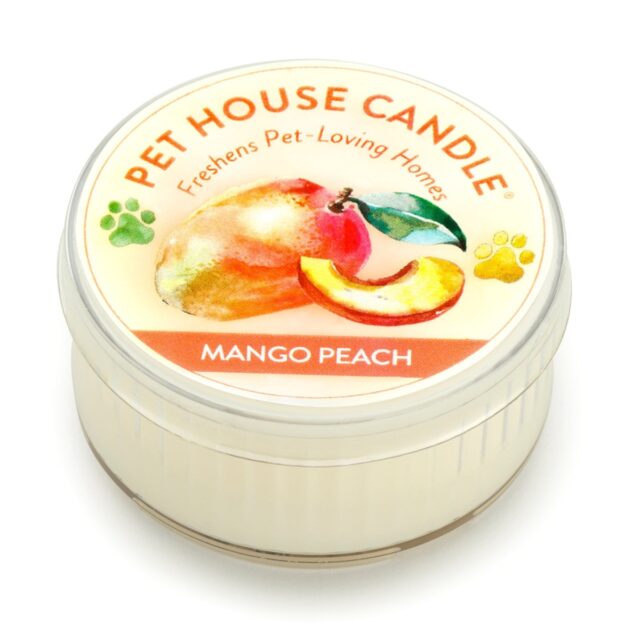 Mini Mango Peach Freshener Candle – Case of 12