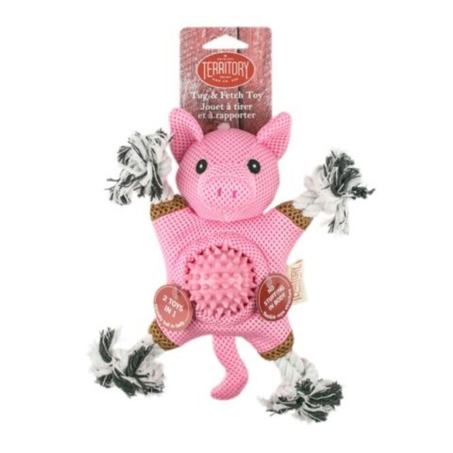 Farm & Friend 2-in-1 Toy Pig