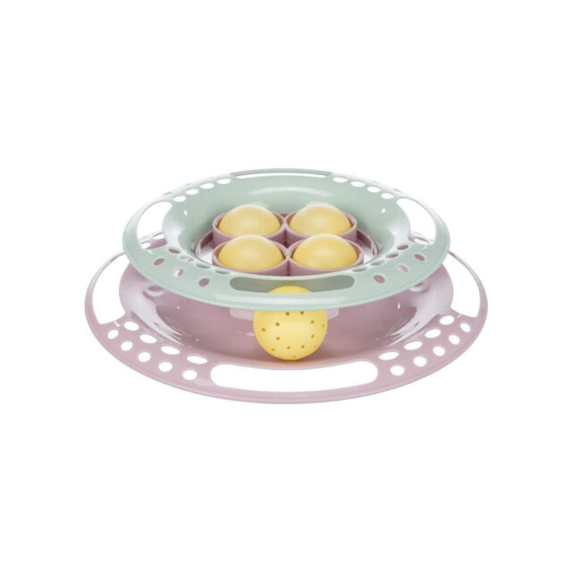 Cat Activity – Junior Circle Track Kitten