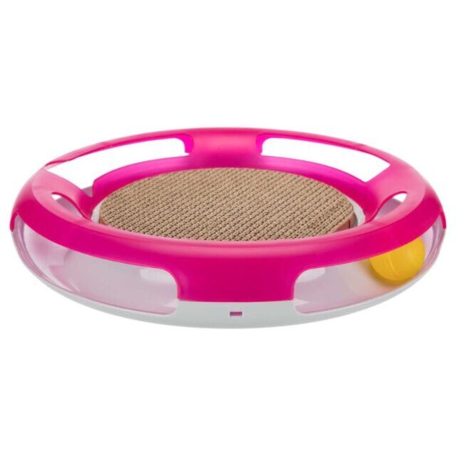 Cat Activity – Race & Scratch
