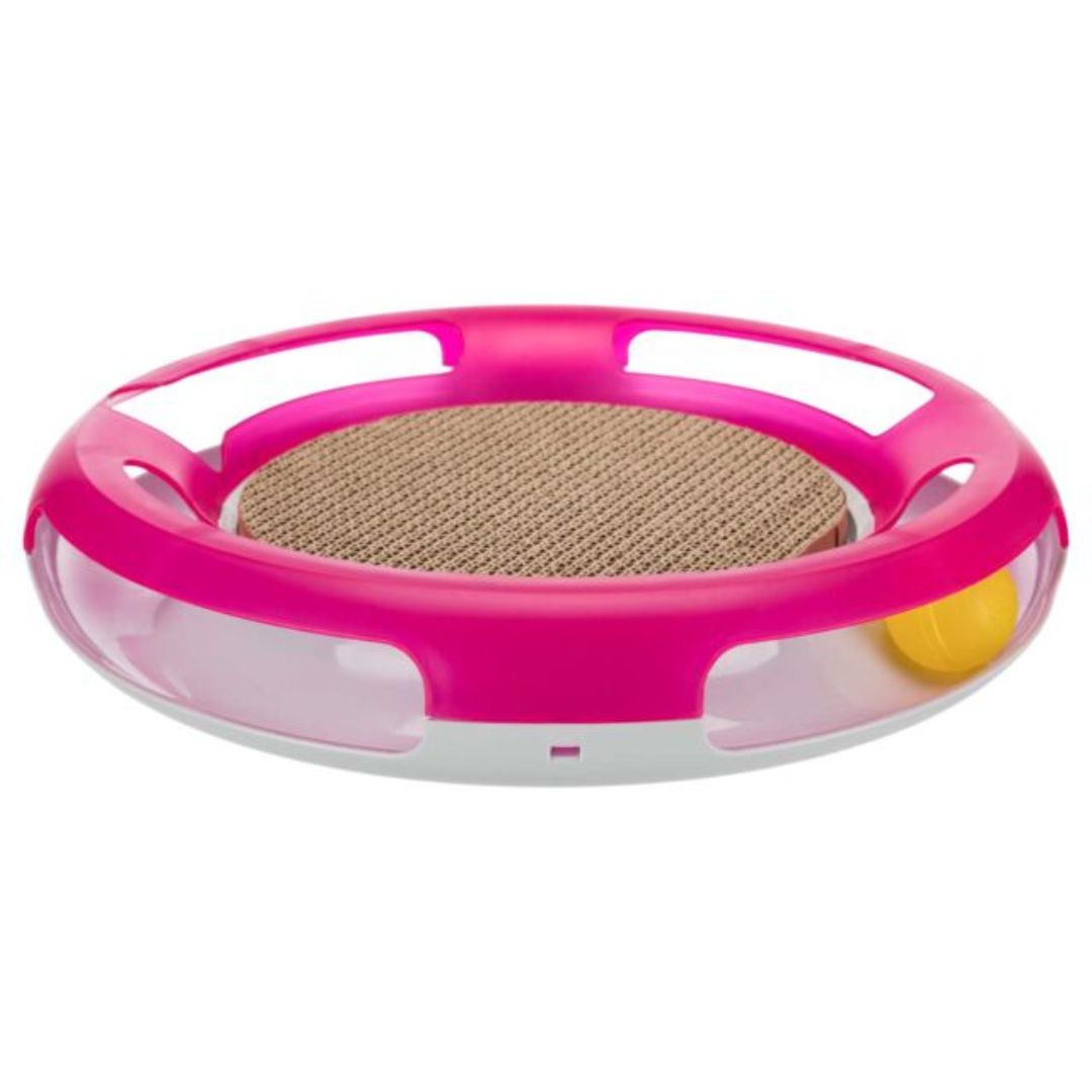 Cat Activity – Race & Scratch