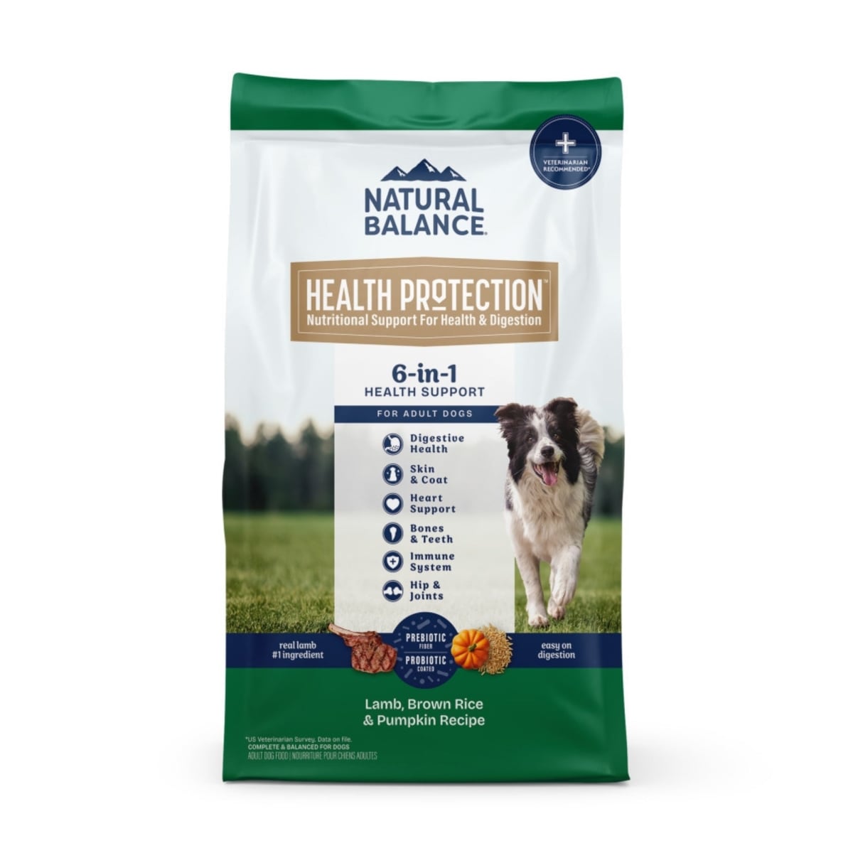 Natural Balance Health Protection Whole Body Health Easy on Digestion with Lamb, Brown Rice & Pumpkin Dry Dog Food