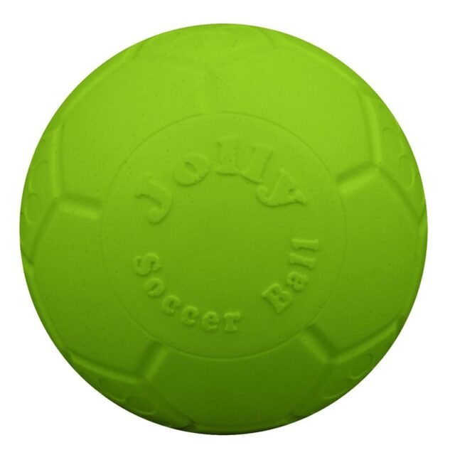 Jolly Pets Soccer Ball Green 8 inch Apple Scented Rubber Chew Toy for Dogs