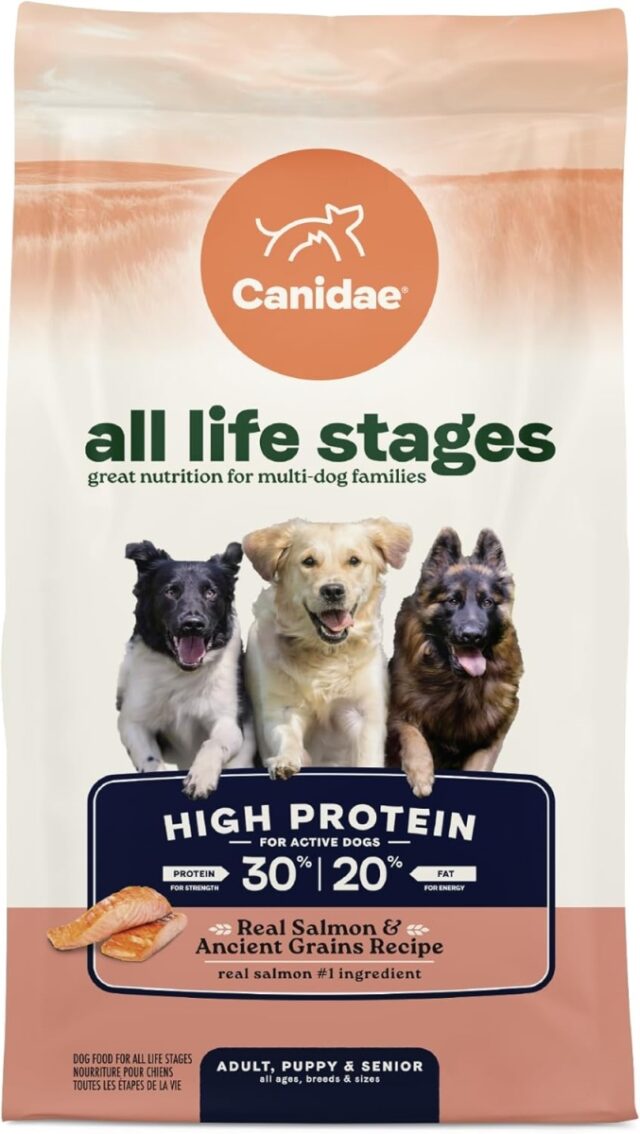 Canidae All Life Stages Salmon & Ancient Grains High Protein Dog Food