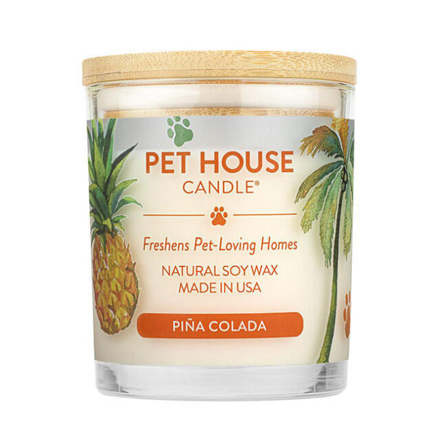 9 oz Pina Colada Candle – Large