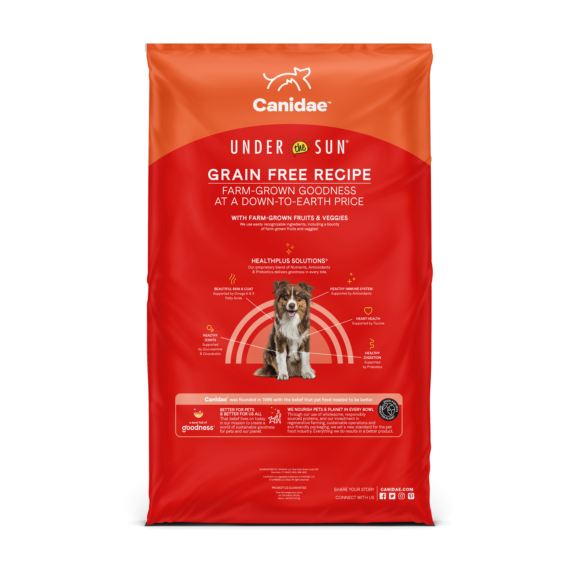 Canidae Under the Sun Grain Free Lamb - back of bag