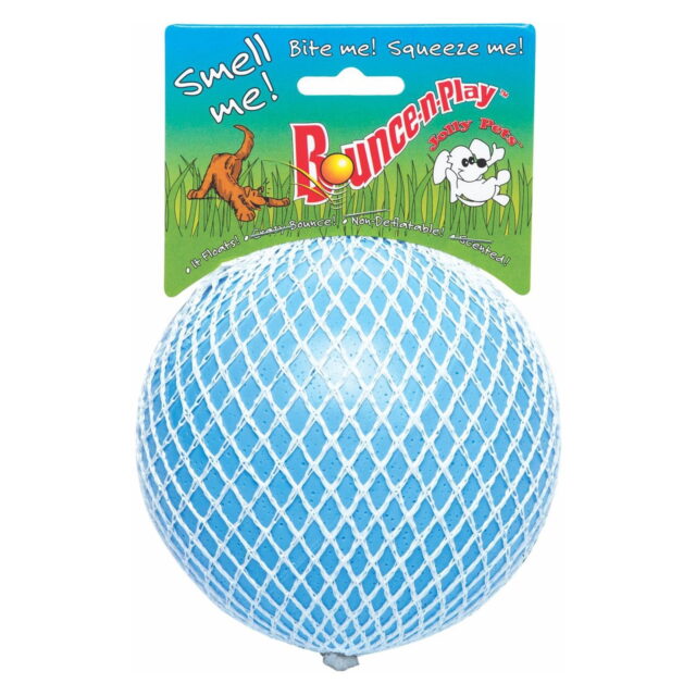 Bounce-N-Play Ball