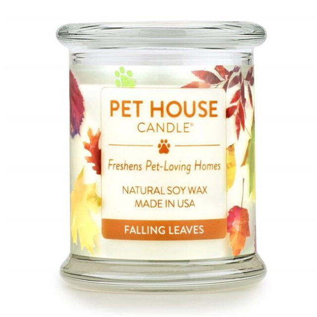 American Distribution & Manufacturing 248941 8.5 oz Falling Leaves Scent Candle