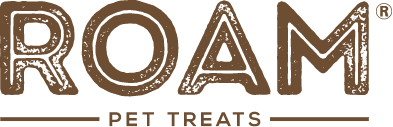 ROAM logo