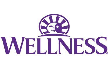 Wellness logo