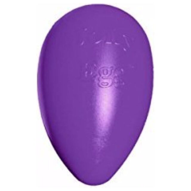 Jolly Pets Egg 12 inch Purple Hard Plastic Chew Toy for Large Dogs