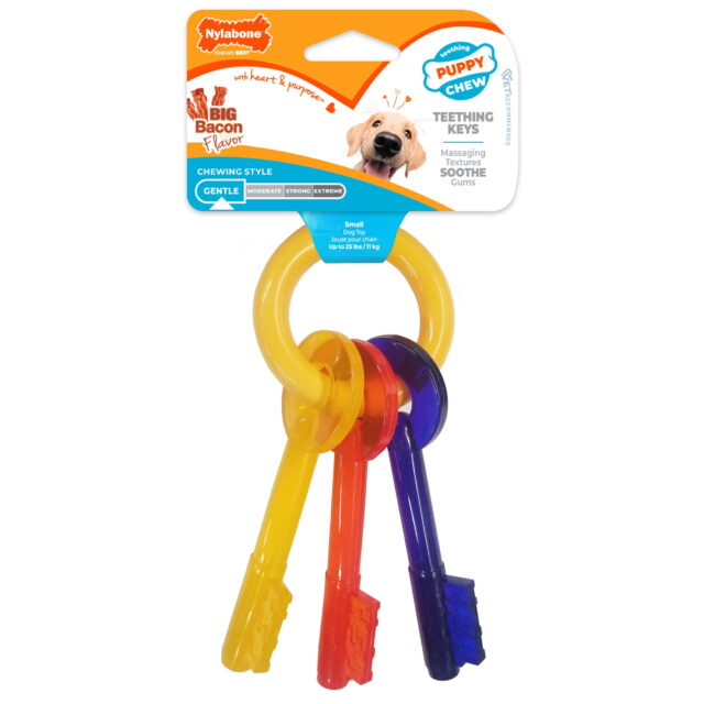 Nylabone Puppy Chew Teething Keys Bacon Dog Chew Toy