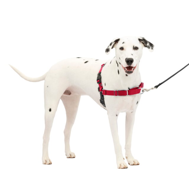 PetSafe Easy Walk Adjustable Dog Harness – M/L – Red