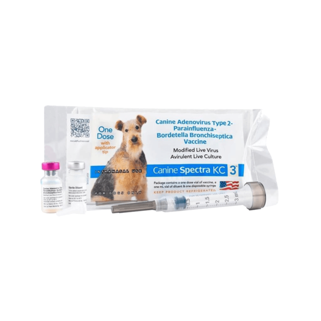 Bordetella Vaccination