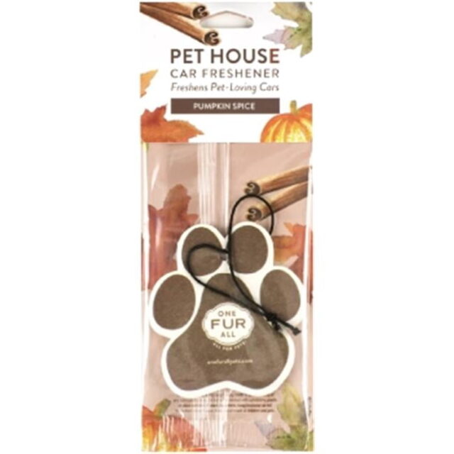 American Distribution & Manufacturing 248931 Pumpkin Spice Car Freshener