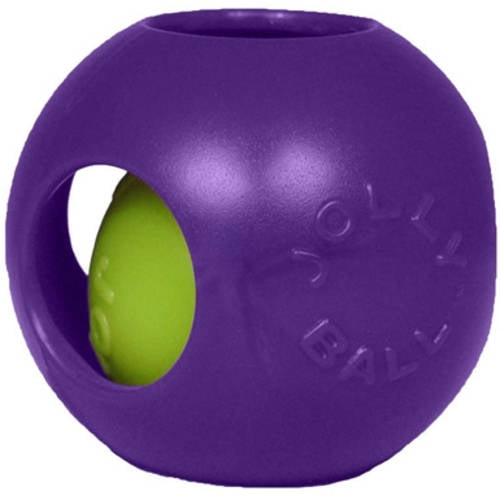 Teaser Ball 4.5 Purple