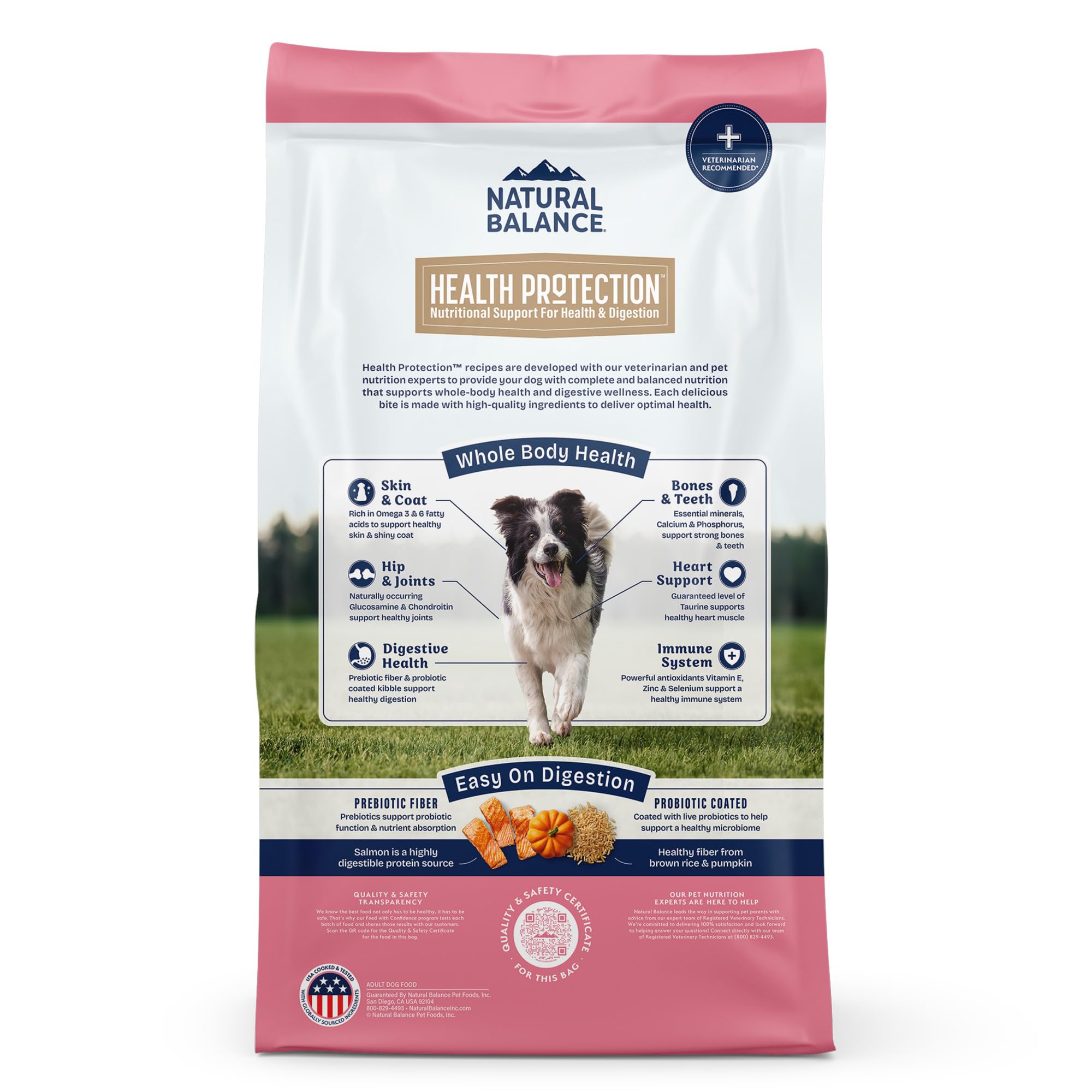 Natural Balance Health Protection Whole Body Health Easy on Digestion with Salmon, Brown Rice & Pumpkin Dry Dog Food