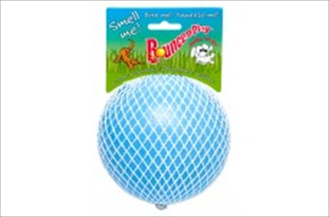 Jolly Pet Bounce n Play Ball 6 Blueberry Dog Toy
