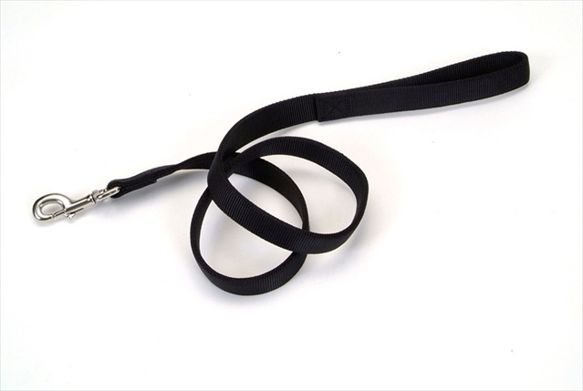 Coastal Pet Products Nylon Double Dog Collar and Double Ply Dog Leash