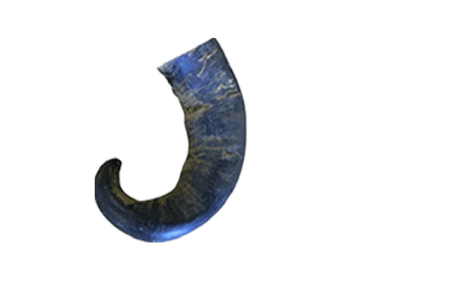 Water Buffalo Large Hornz Dog Chew