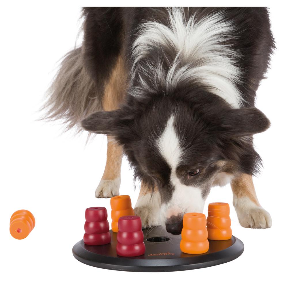 TRIXIE Pet Products Solitaire Dog Activity, Strategy Game
