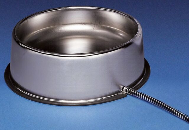 Allied heated Stainless Steel 5q