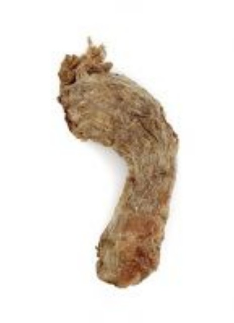 VE Raw Bar Chicken Neck Single