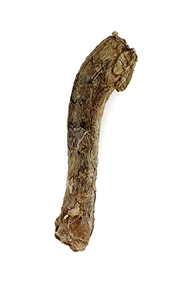VE Raw Bar Duck Neck