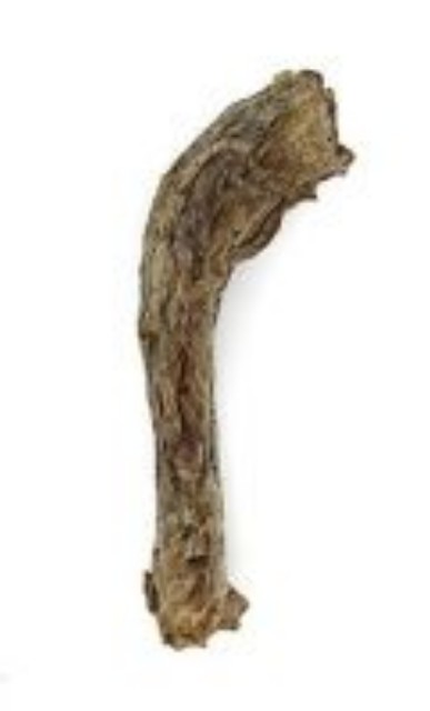 VE Raw Bar Turkey Neck