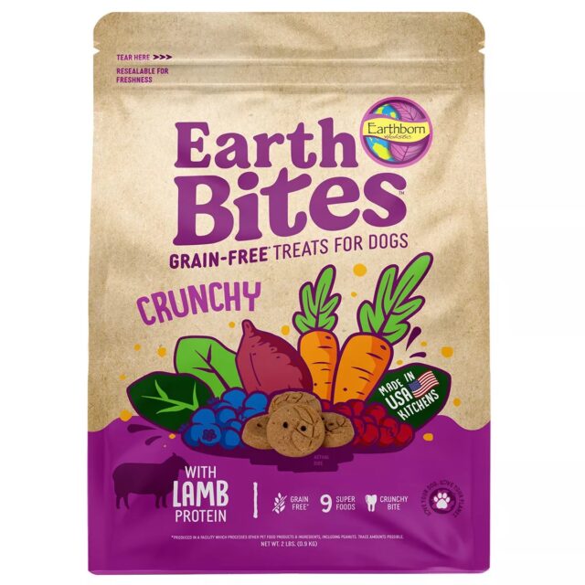 Earthborn Ebites GF LambPmpkn2lb