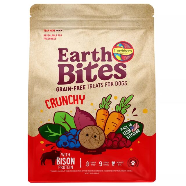 Earthborn Ebites GF BsnPmpkn10oz