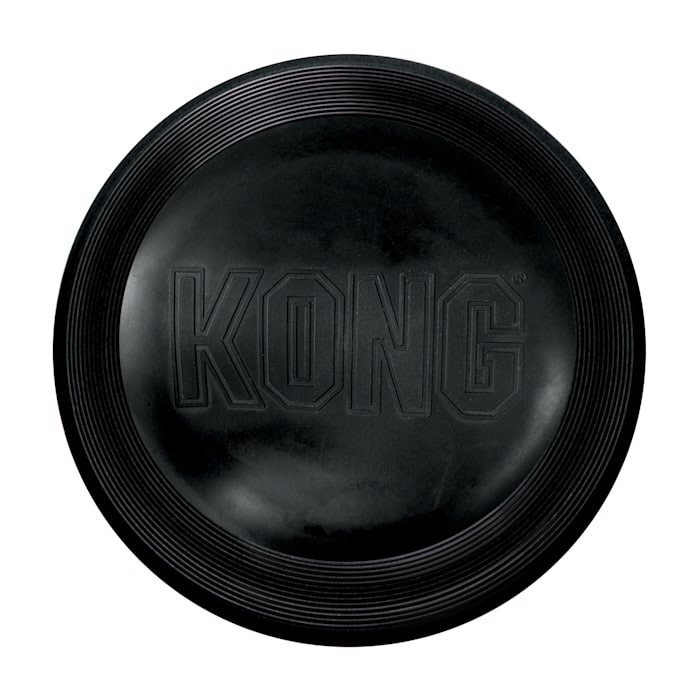 Kong Extreme Flyer LG