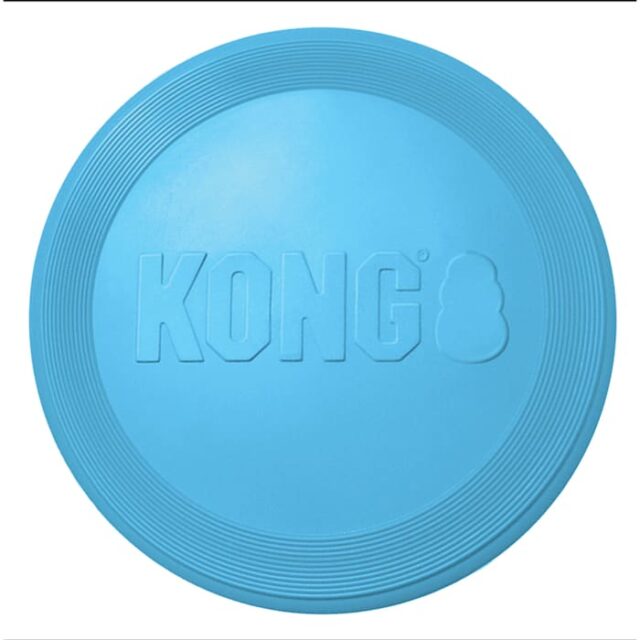 Kong Puppy Flyer SM