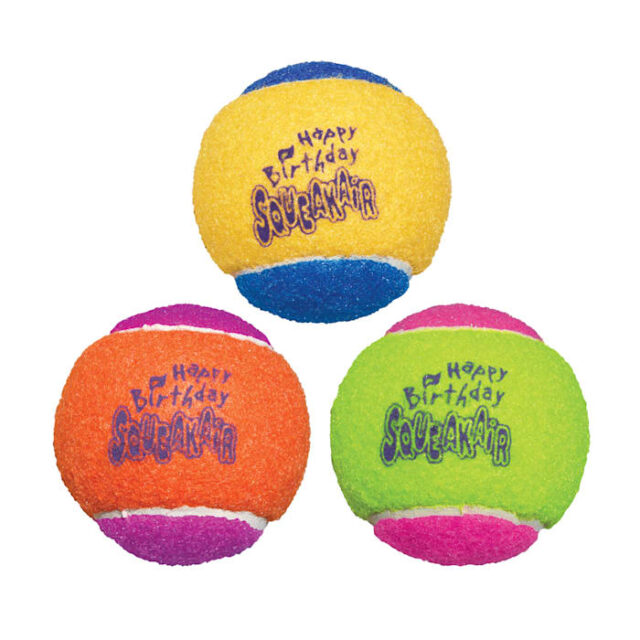 Kong Birthday Tennis Ball MD 3pk