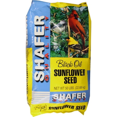 Black Oil Sunflower 50#