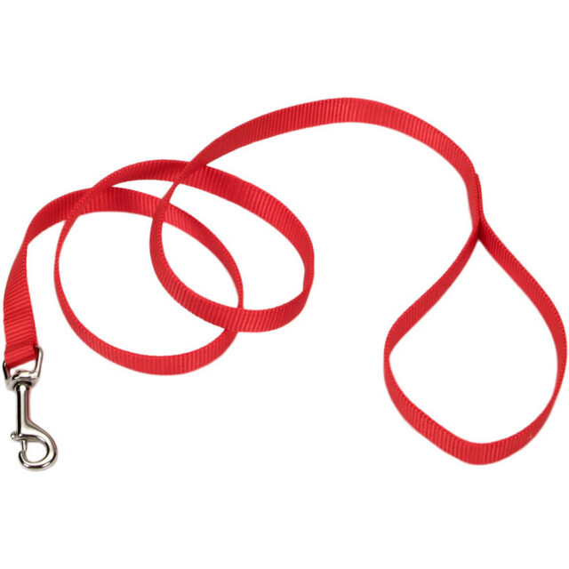 Coastal Leash Single-Ply RED 6'